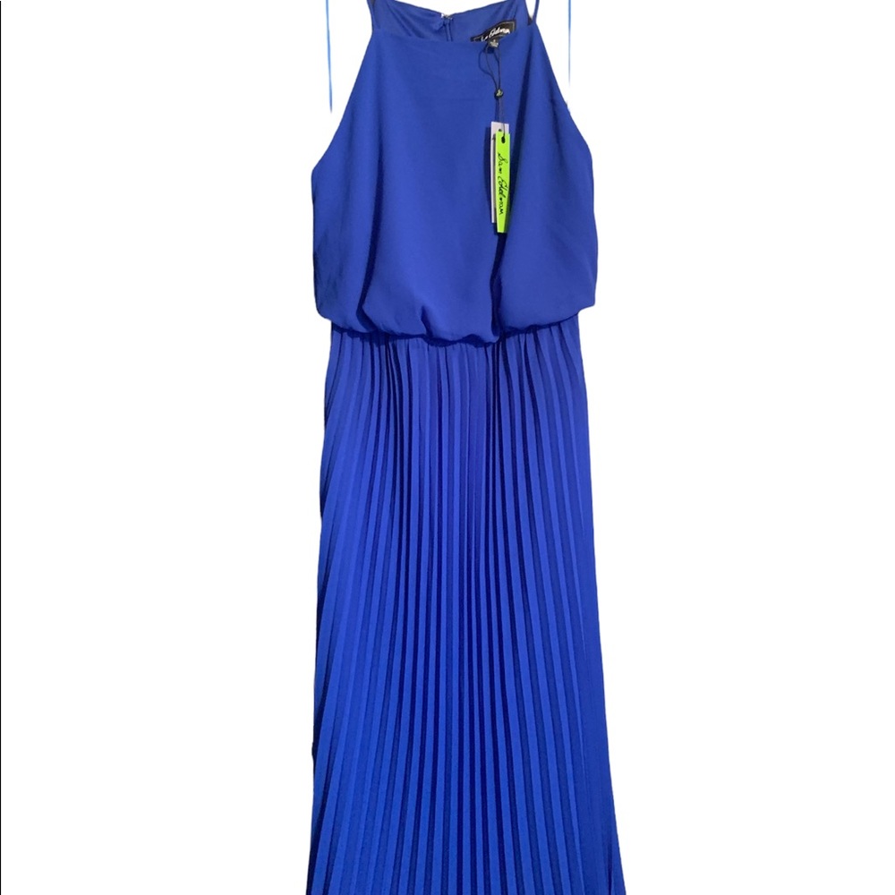 Same Edelman pleated maxi dress